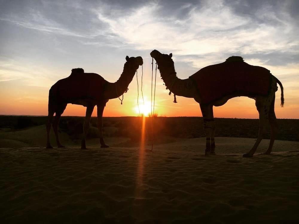 Hotel Himmat Niwas Jaisalmer Zewnętrze zdjęcie