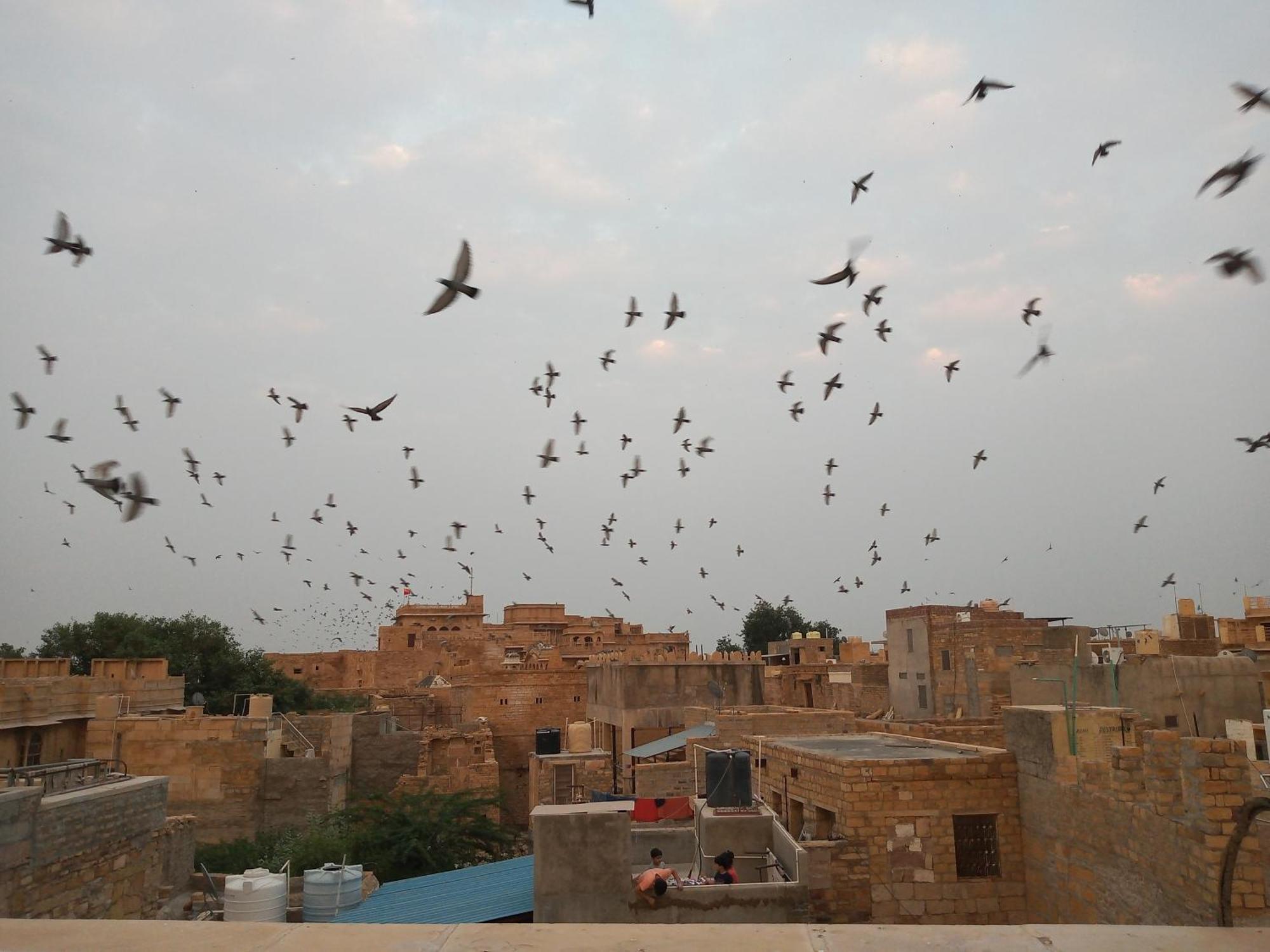 Hotel Himmat Niwas Jaisalmer Zewnętrze zdjęcie